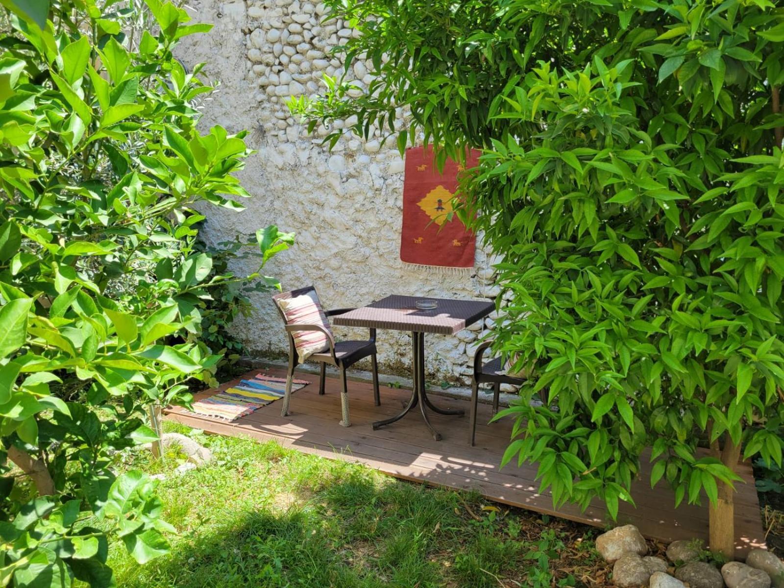 Vila Koltrina Shkodër エクステリア 写真