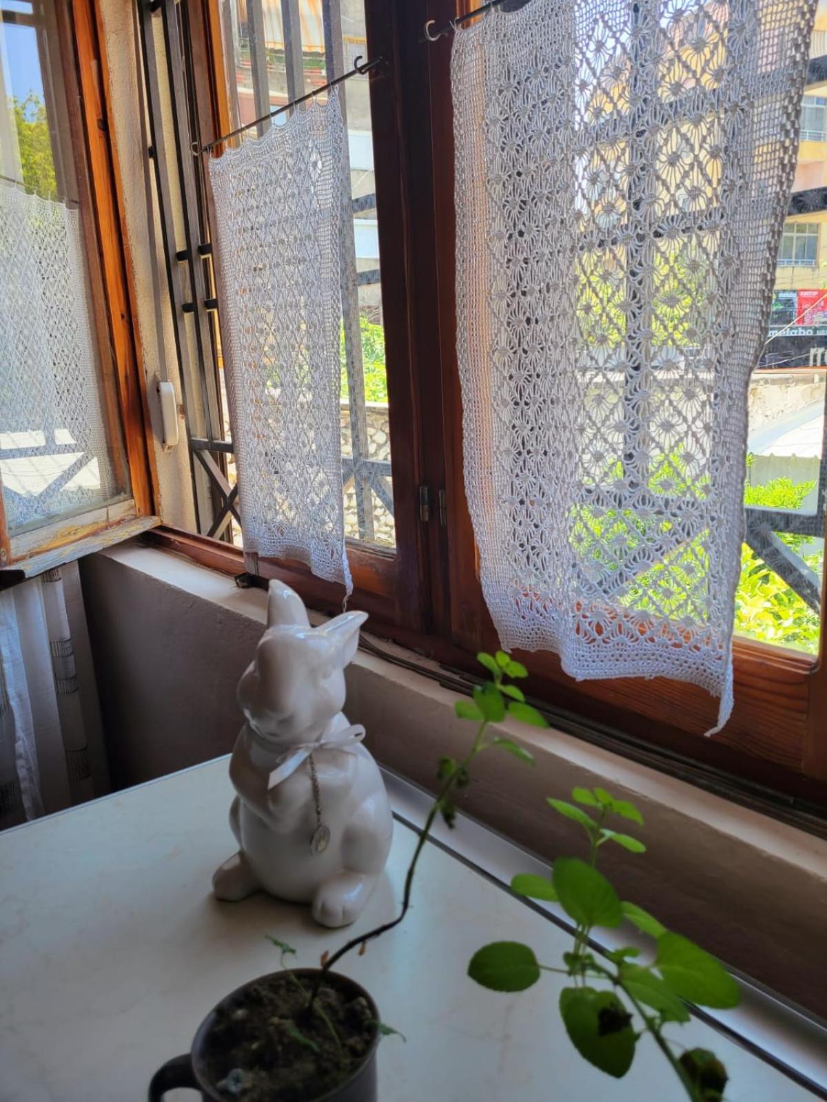 Vila Koltrina Shkodër エクステリア 写真